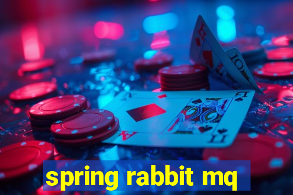 spring rabbit mq